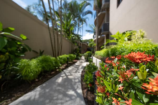 A walkway between two buildings surrounded by flowers and plants.