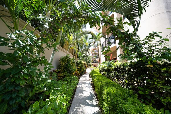 A walkway surrounded by trees and bushes leading to a building