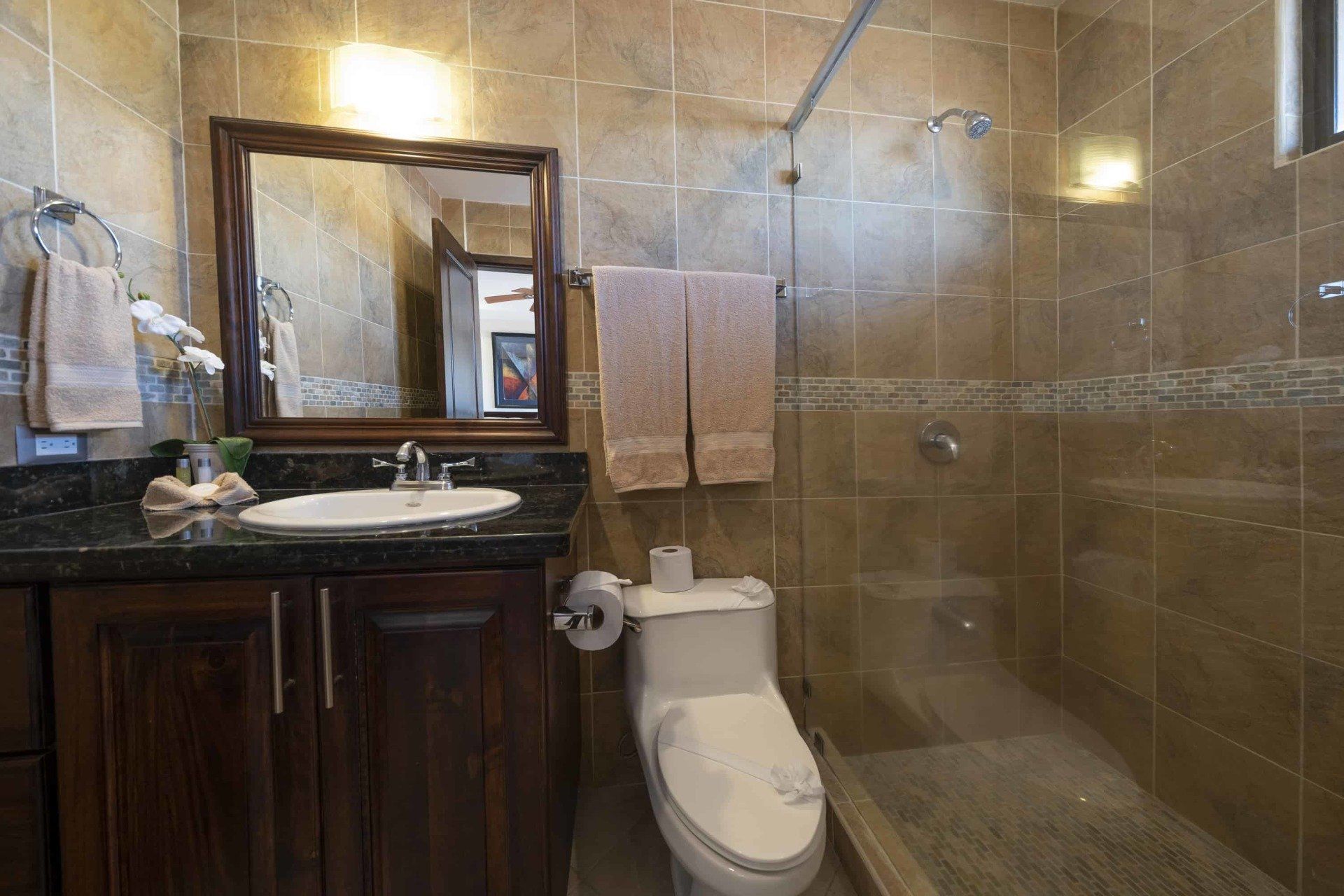 A bathroom with a toilet , sink , mirror and walk in shower.
