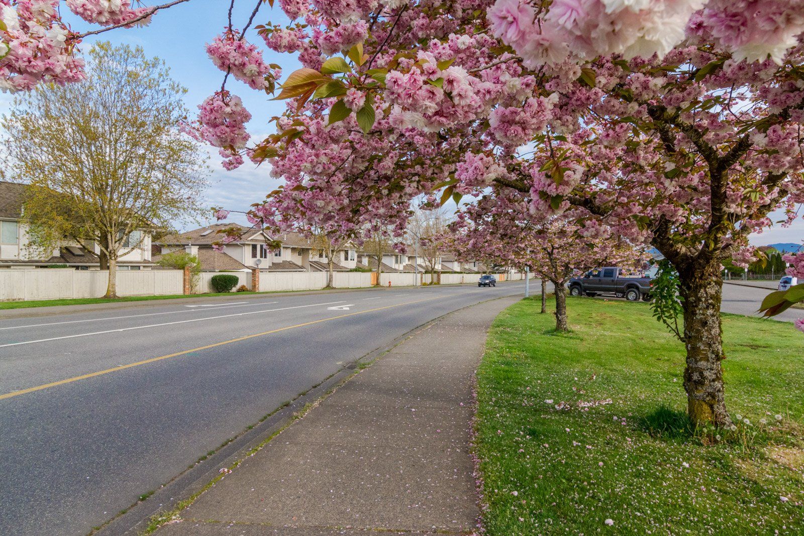 Fort Langley Real Estate Walnut Grove Mls Homes for sale Condos