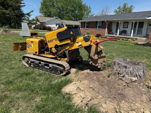 Yellow mini excavator digging beside a tree stump in a suburban yard with a house in the background
