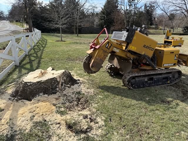 Yellow tracked stump grinder beside a freshly cut tree stump in a grassy yard