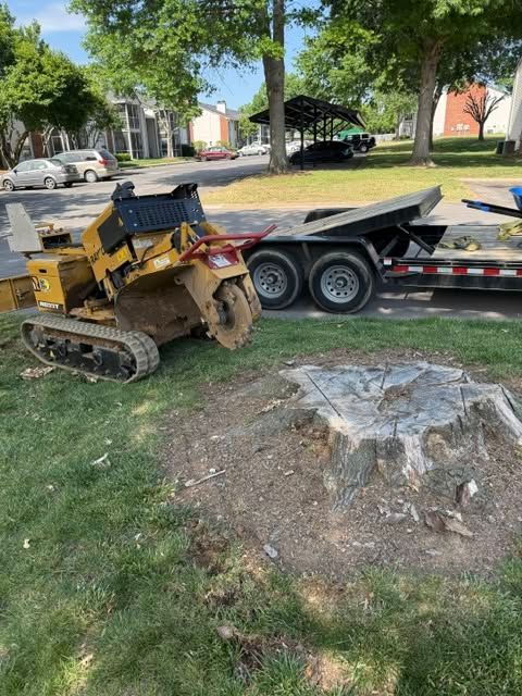 Small yellow tracked loader beside a flatbed trailer near a tree stump in a grassy residential yard.