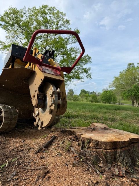 Excavator attachment cutting a large tree stump in a grassy field under a cloudy sky