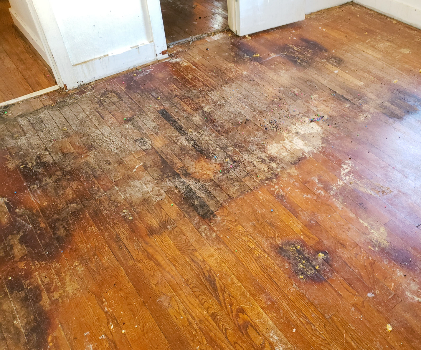 A wooden floor with a lot of water damage on it in a room.