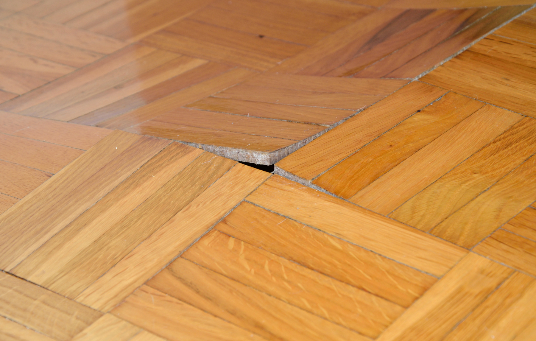 A close up of a wooden floor with broads bent upwards.