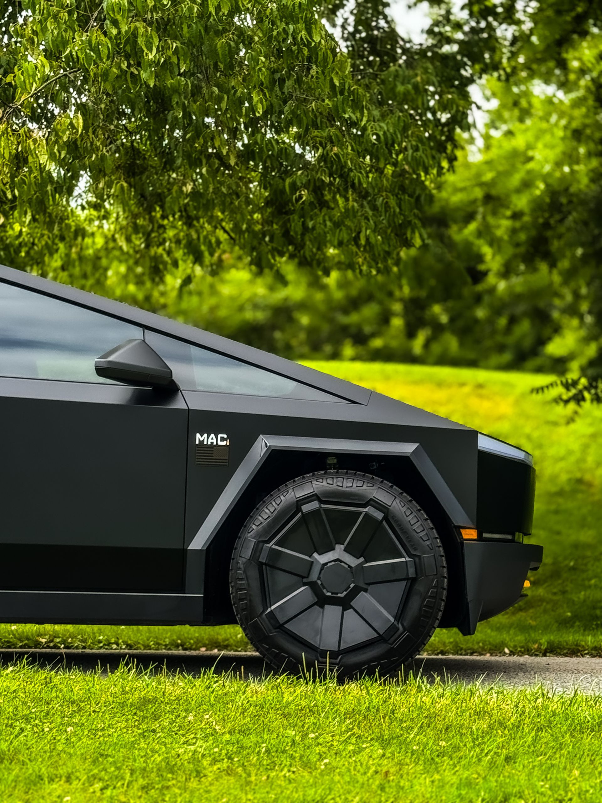 Black Tesla Cybertruck parked on grass with a tree in the background.