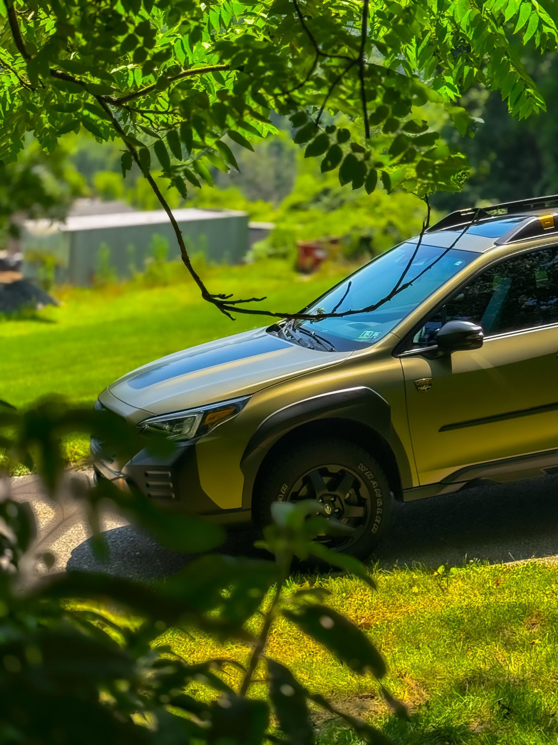 Green Subaru Outback parked on a grassy area, framed by tree branches.