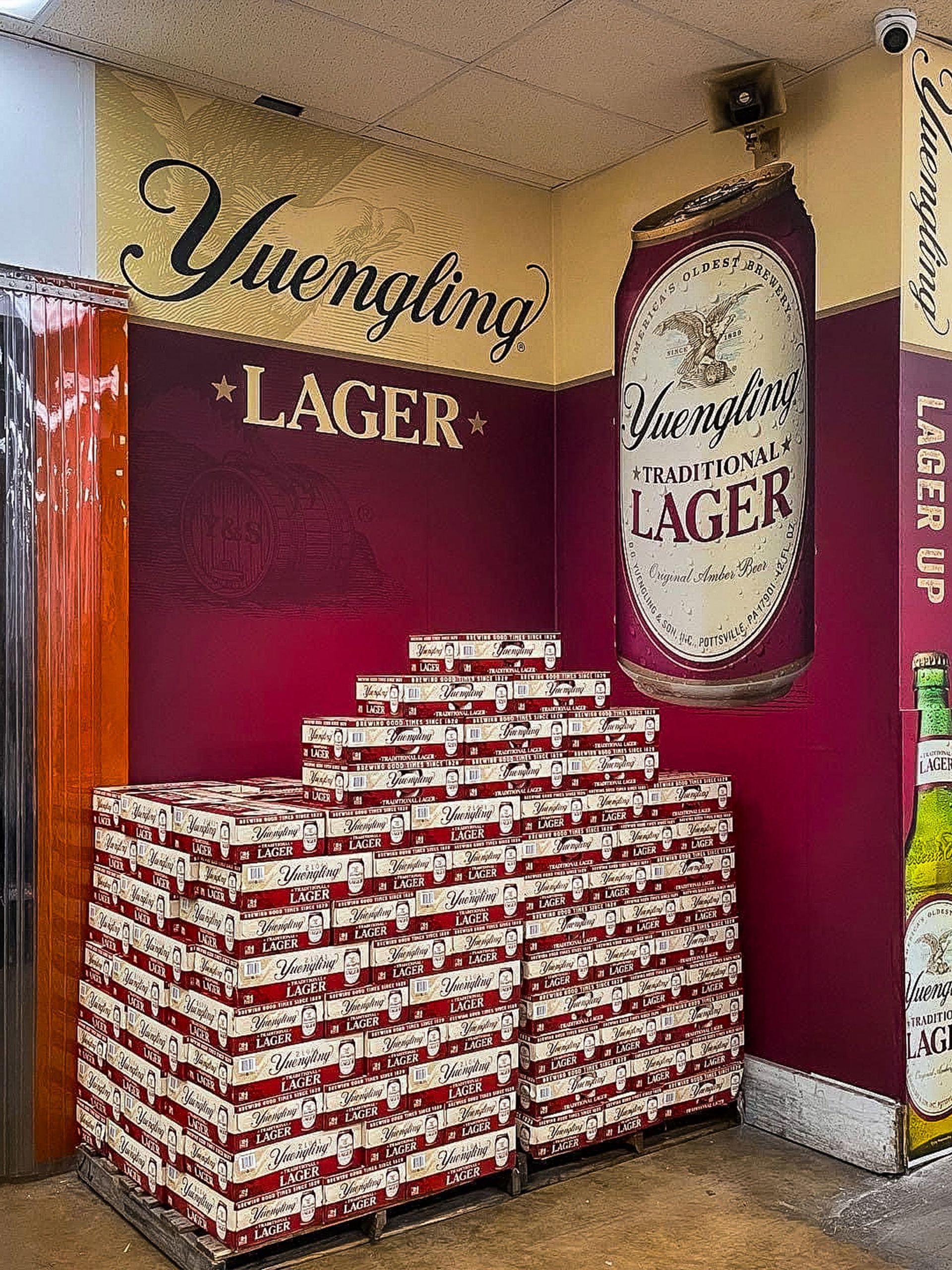 Yuengling Lager display in a store; stacks of beer cases, large can prop, burgundy and tan walls.