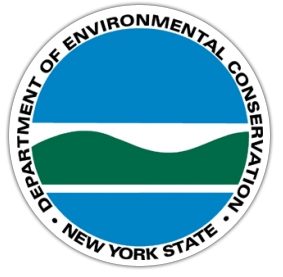 Department of Environmental Conservation of NY | Bee Green