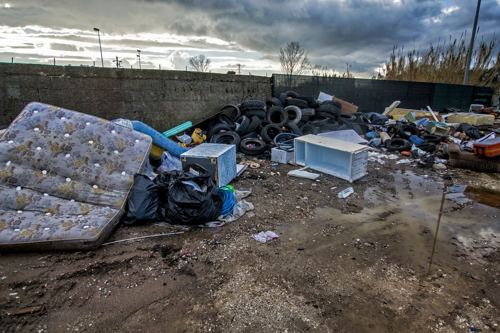 A pile of logs laying on the grass in front of a building.