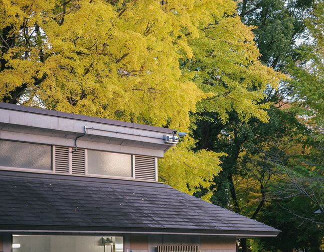 Building roof in front of trees with yellow and green autumn foliage.