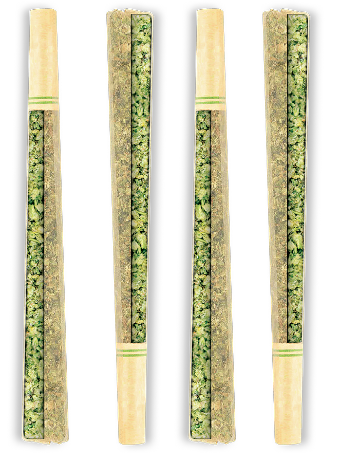 Four pre-rolled cannabis joints on a white background. Each has a light tan paper tip and a green and brown filled body.