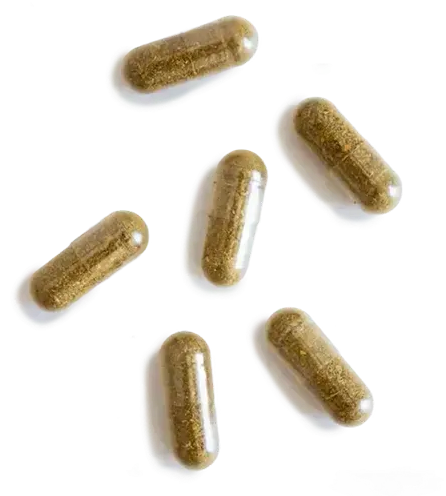 Six brown supplement capsules on a white background.