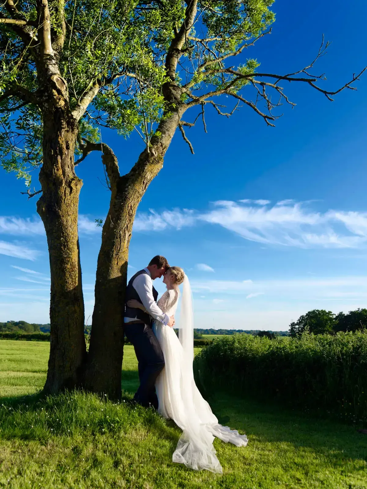 bride and groom cuddling under a tree in Hampshire