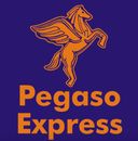 PEGASO EXPRESS-LOGO