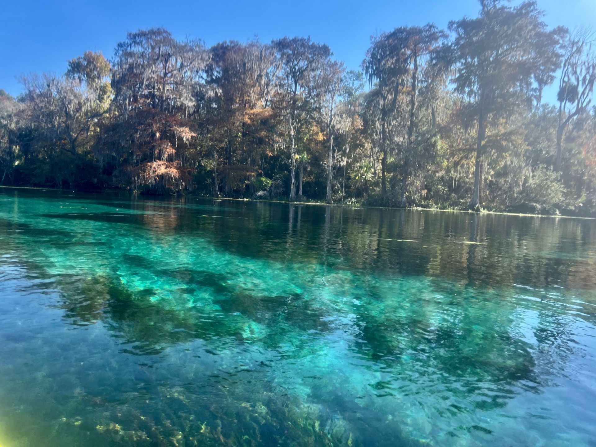Crystal-clear turquoise water in a river, trees along the shoreline under a blue sky.