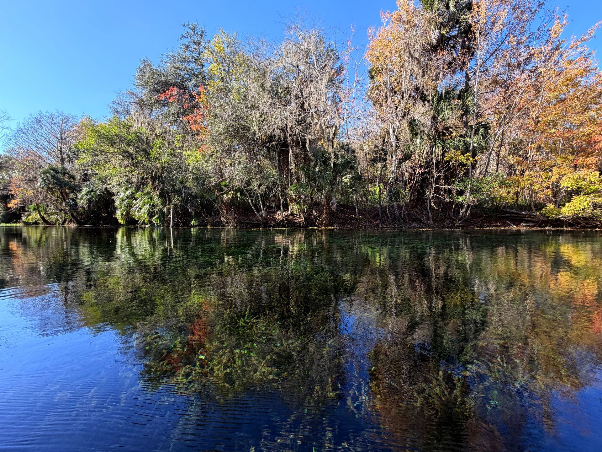 Clear blue water reflecting trees and blue sky.