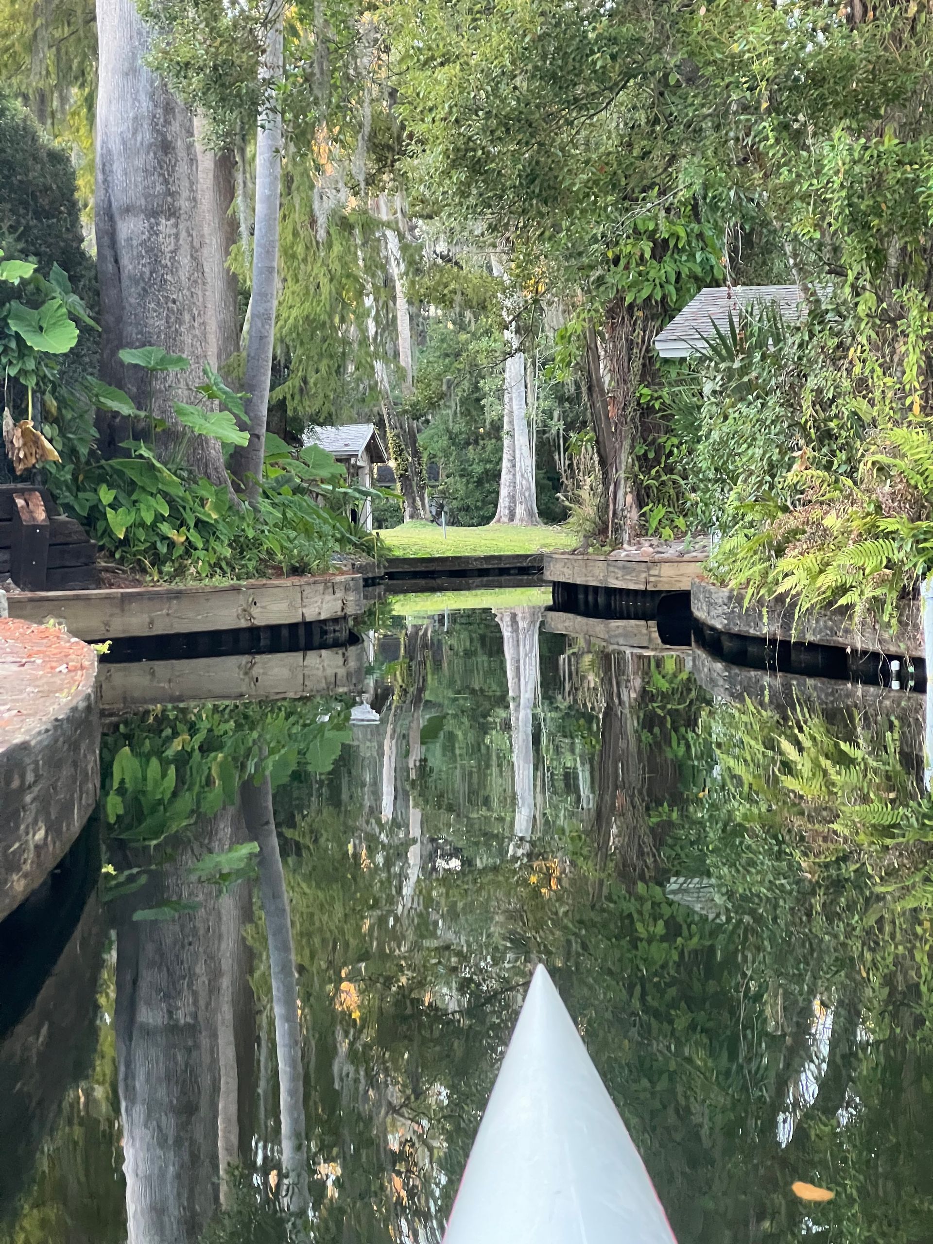 Water canal reflecting trees and foliage. Concrete edges frame the water.
