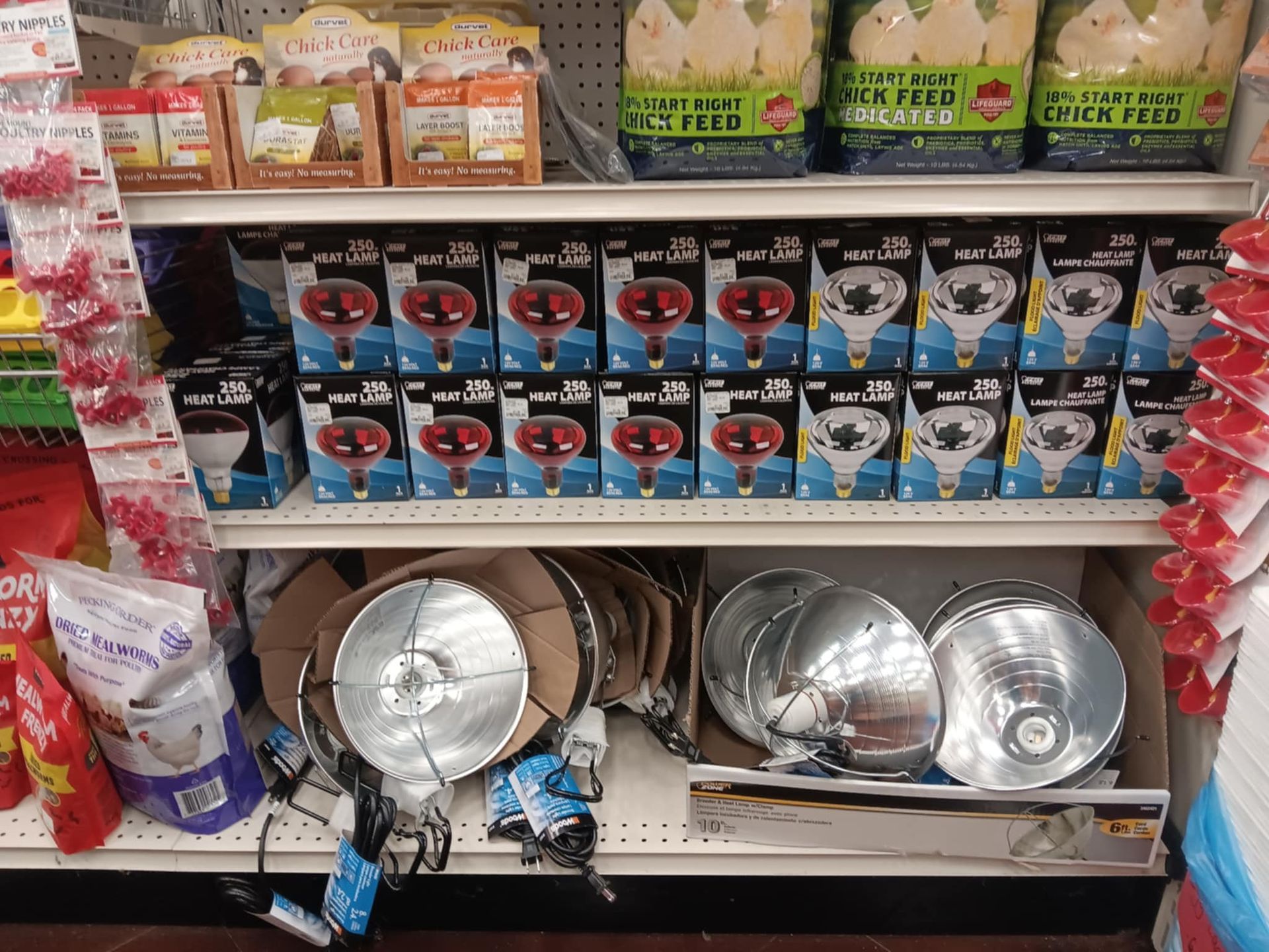 A store shelf filled with a variety of items including chicken feed