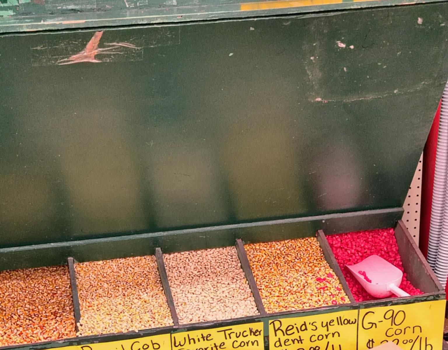A variety of grains are on display for sale