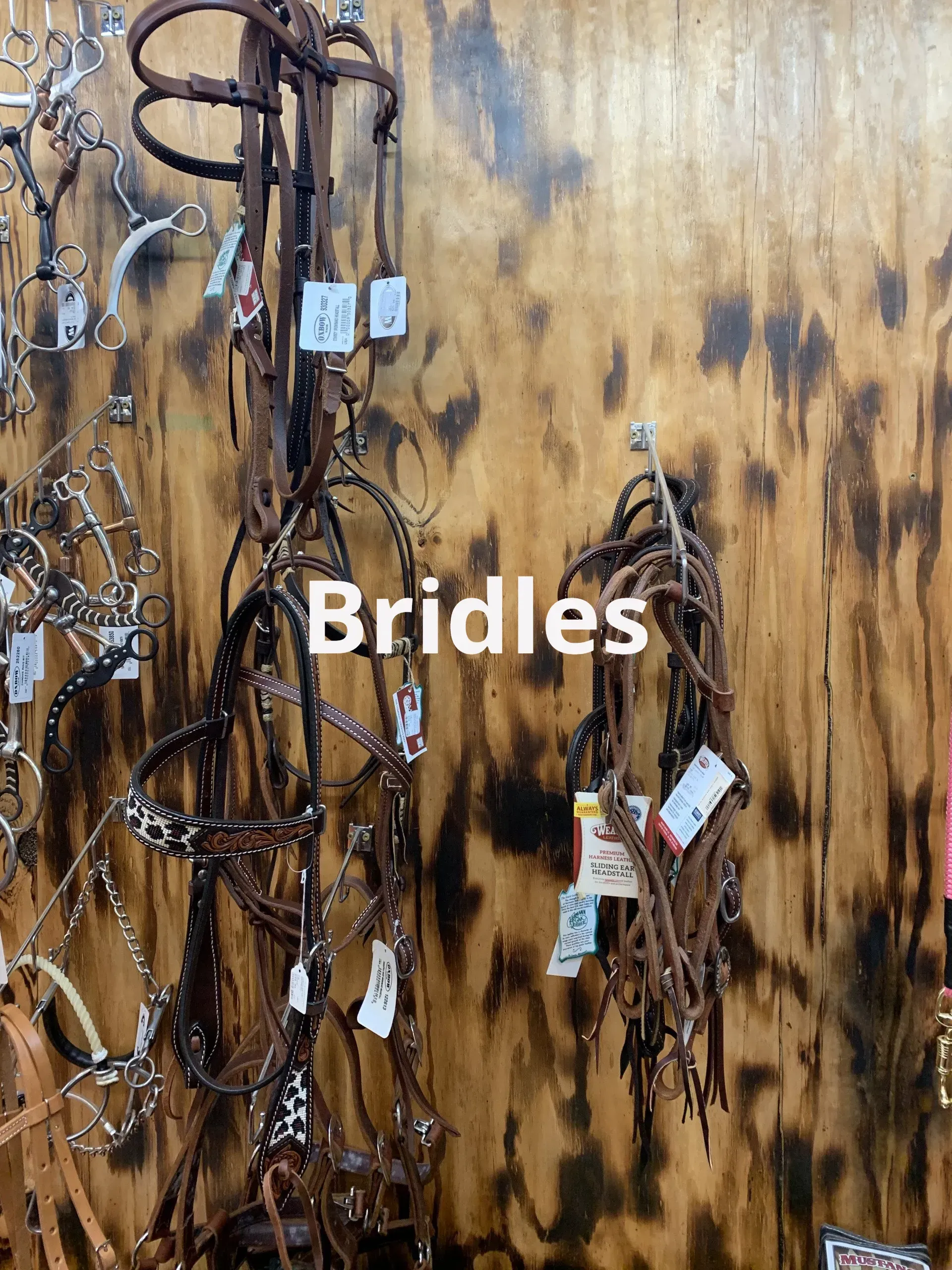 Bridles are hanging on a wooden wall in a store