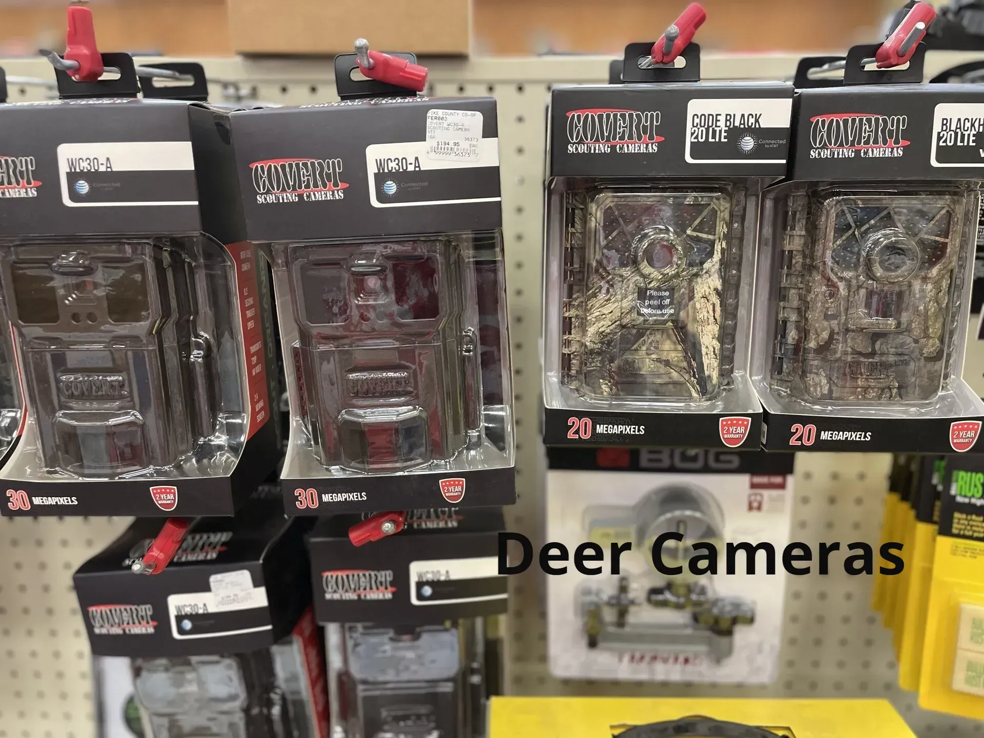 A display of deer cameras in a store