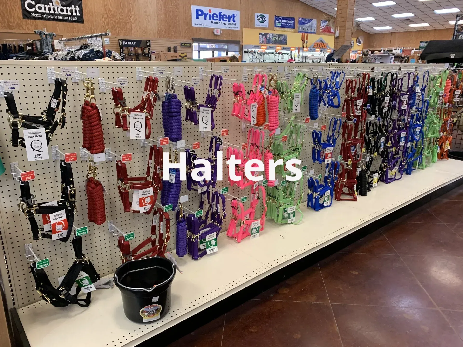 A display of halters and bridles in a store