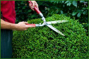 Hedgework