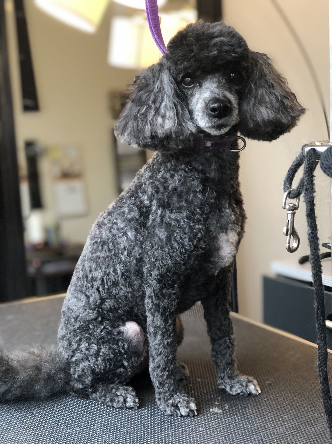 Cleaning — Chicago, IL — Buds N’ Suds