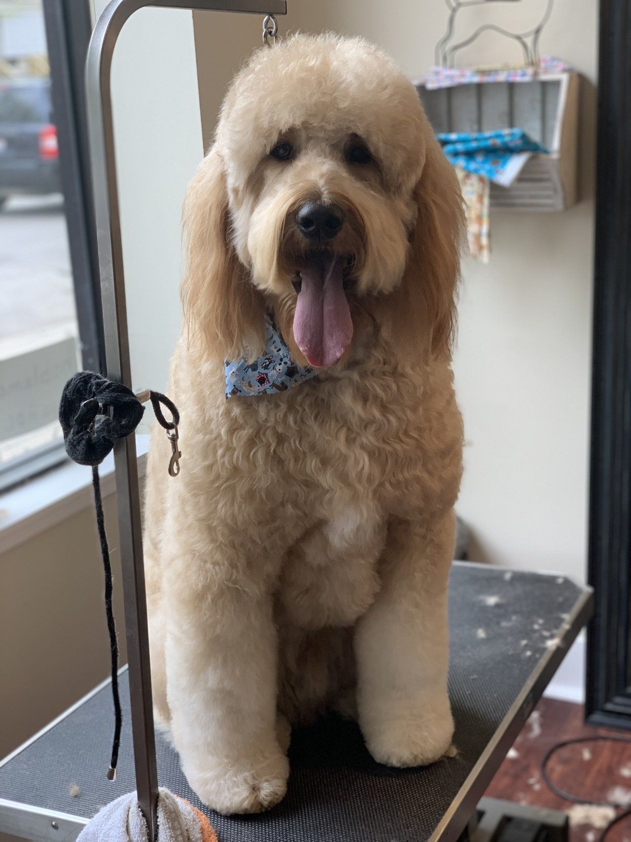 Salon — Chicago, IL — Buds N’ Suds