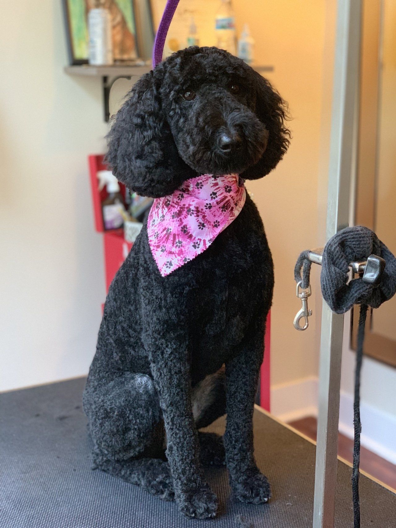 Professional Trimming — Chicago, IL — Buds N’ Suds