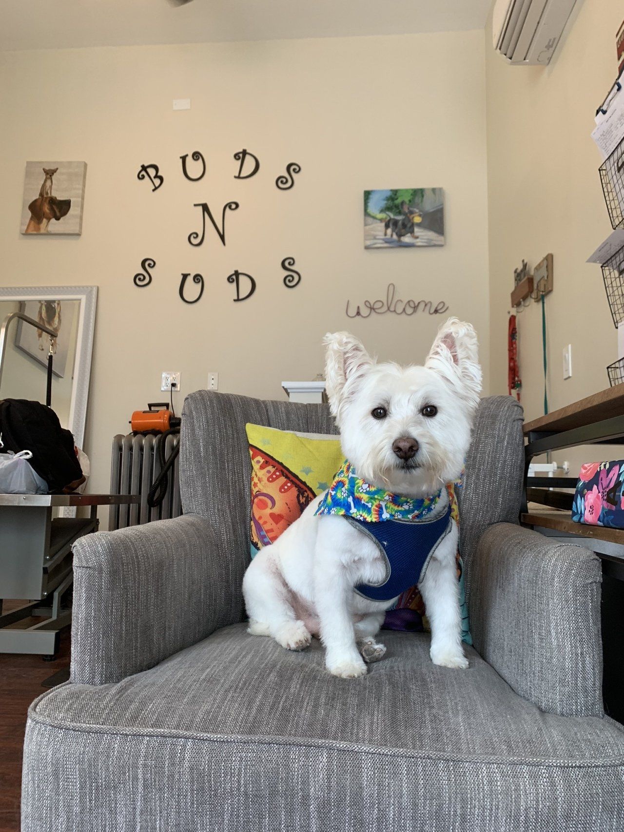 Trimming — Chicago, IL — Buds N’ Suds