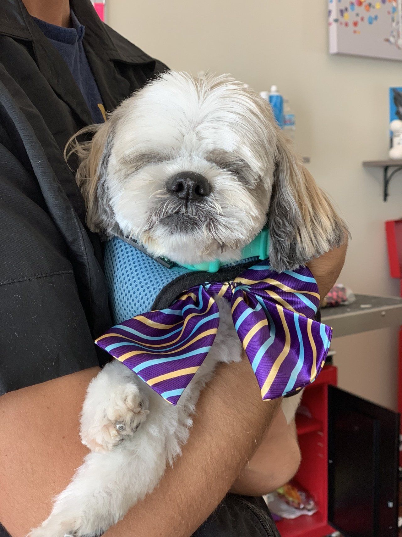 Professional Cleaning — Chicago, IL — Buds N’ Suds