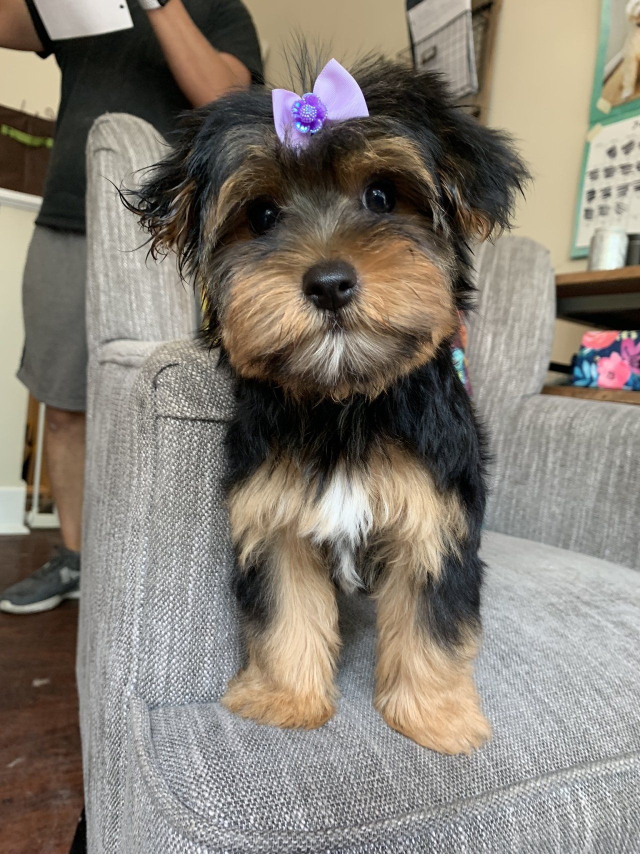 Trim — Chicago, IL — Buds N’ Suds