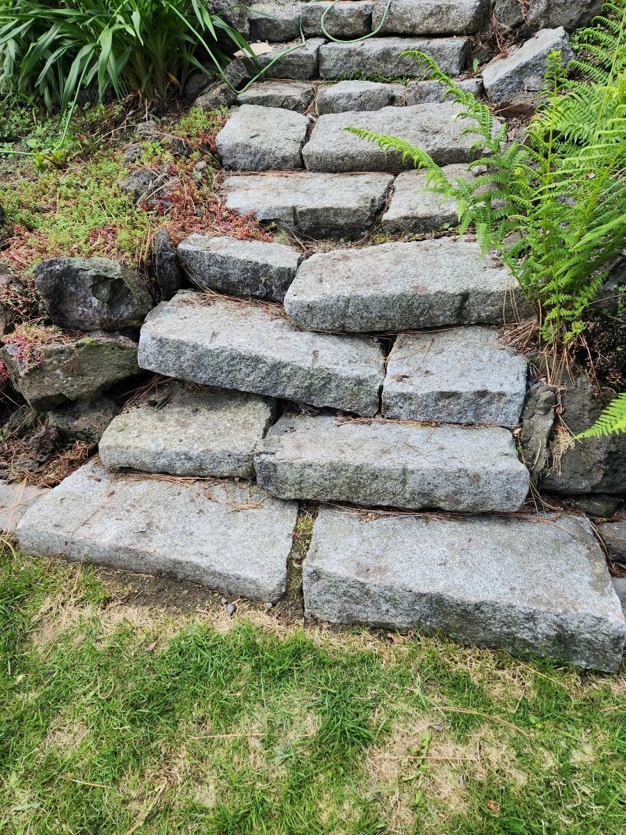 Stone steps on a hillside with grass below, surrounded by greenery.