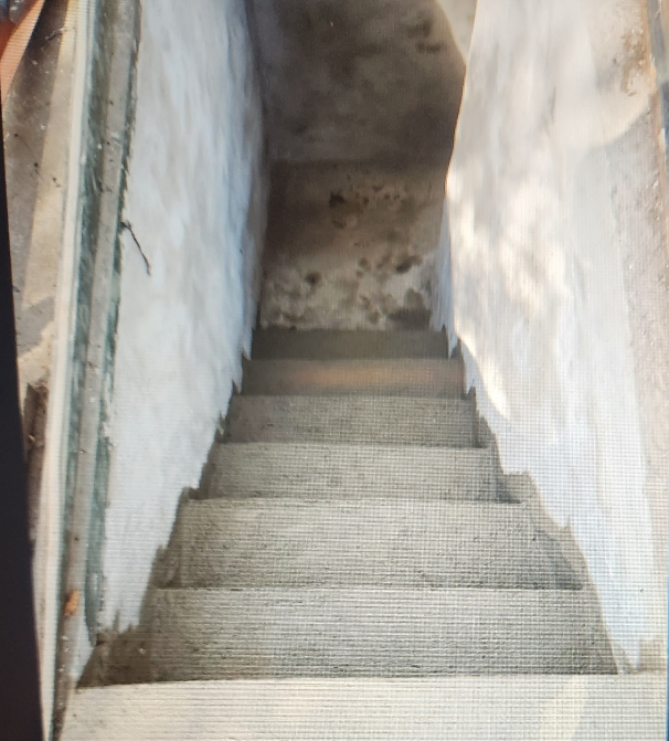 Concrete staircase leading downward into a dim, concrete-walled basement.