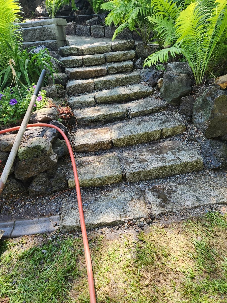 Stone steps winding upwards through a garden, with ferns and a hose visible.