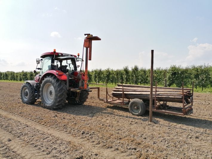 Boomgaard aanleggen palendrukken