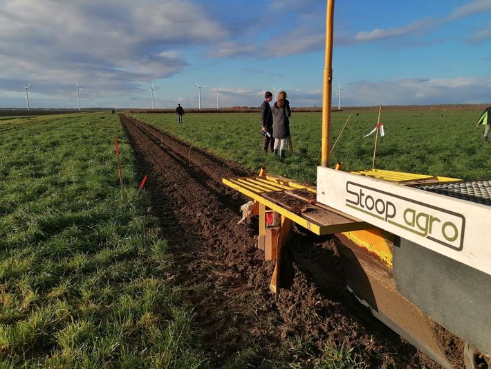 Het planten in éénwerkgang van een Agroforestry project