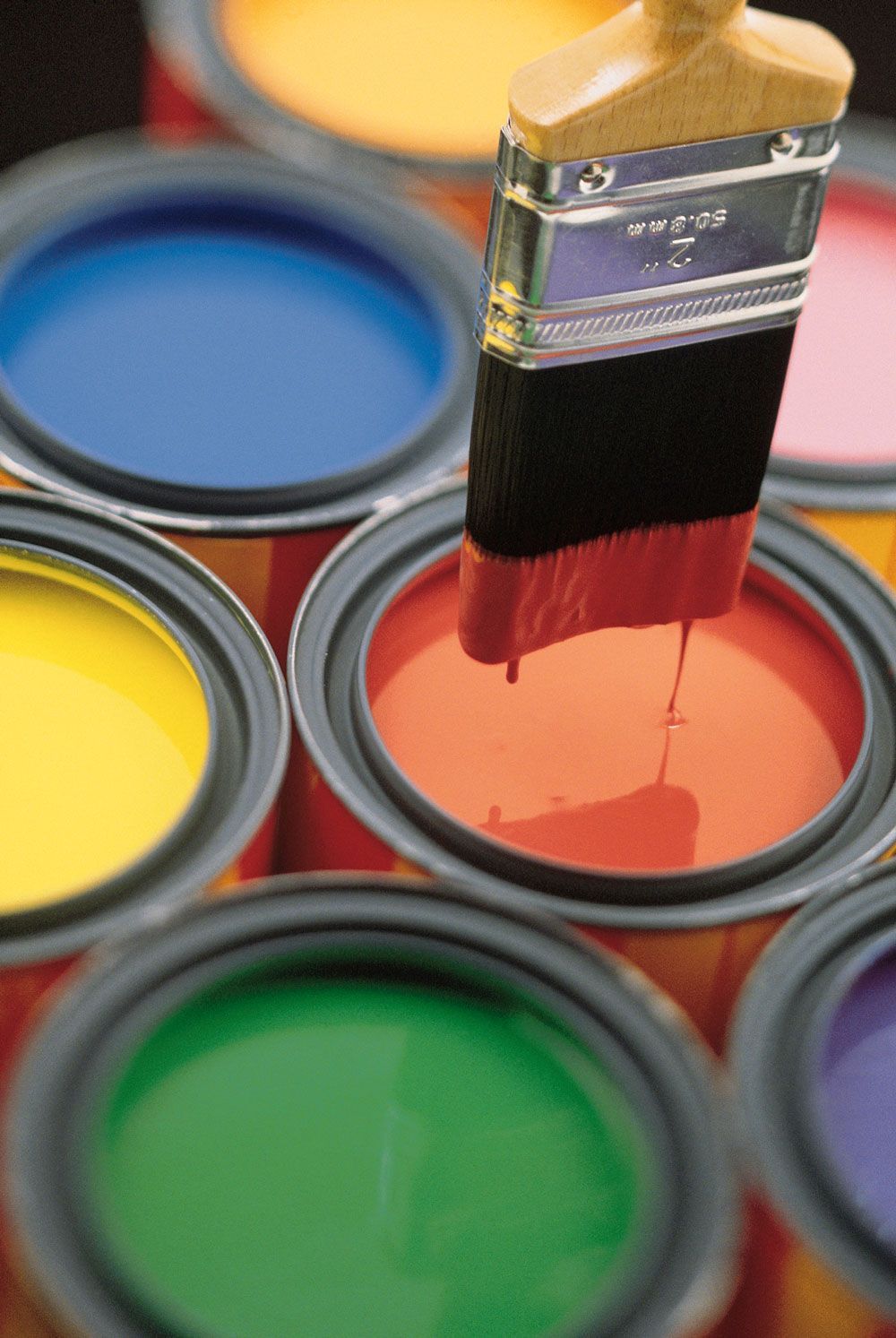 BEREL ZONA NORTE Y ZONA CENTRO - Pinturas Vinil-Acrílicas