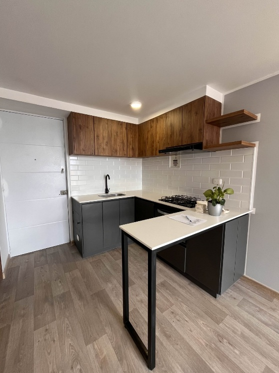 Cocina moderna con gabinetes de madera