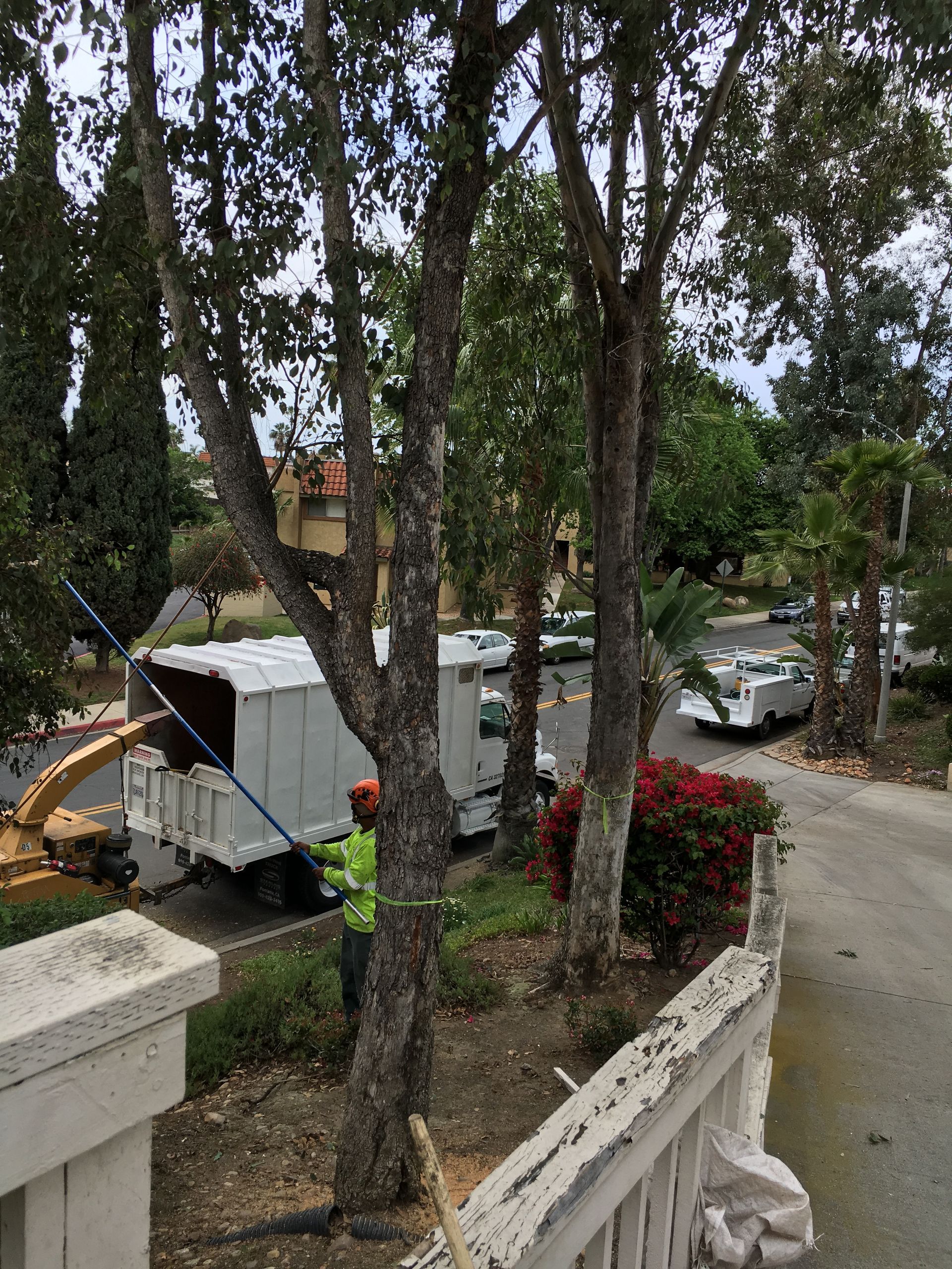 A man is standing next to a tree with a truck in the background.