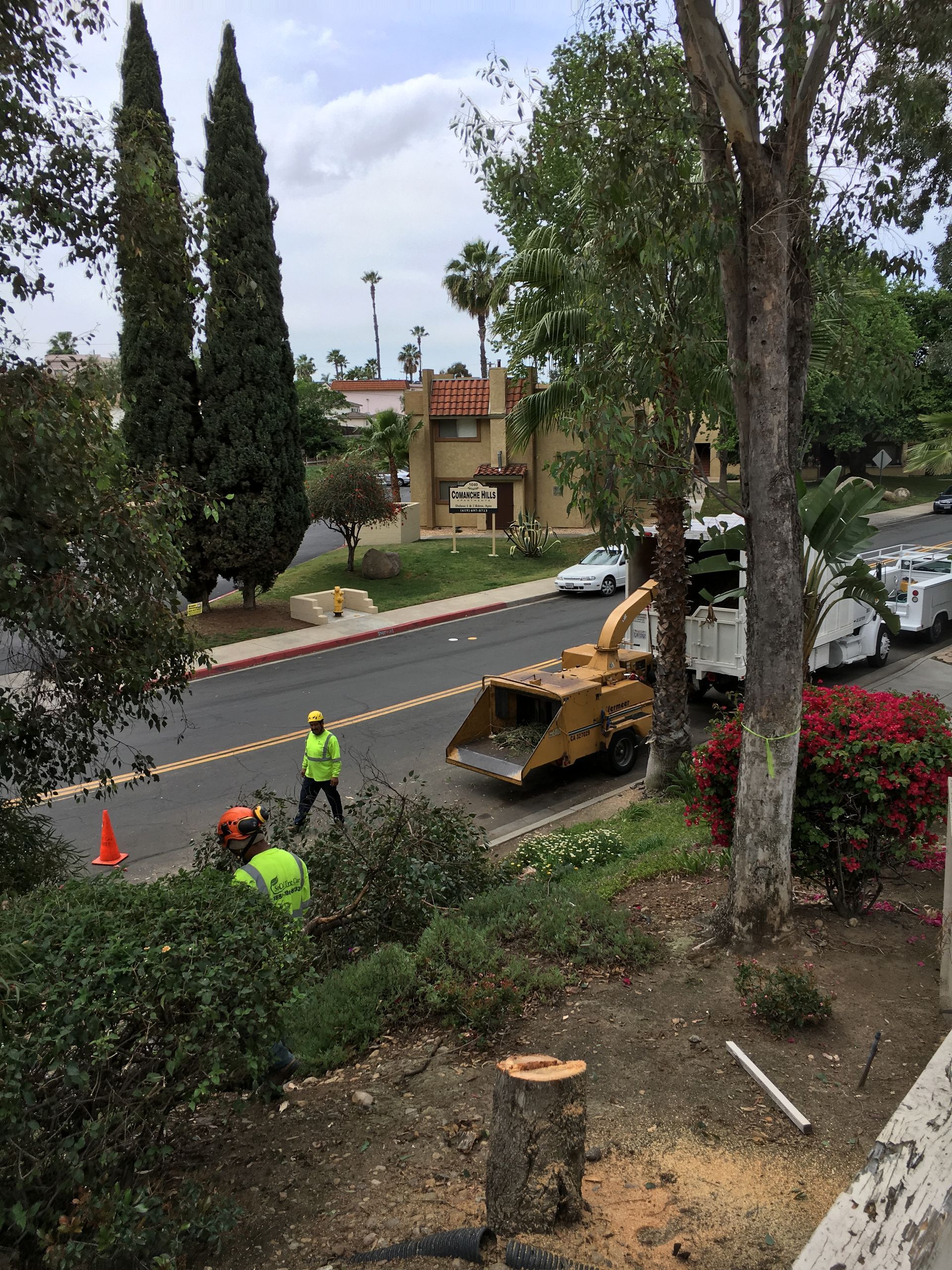 A tree stump is being removed from the side of the road