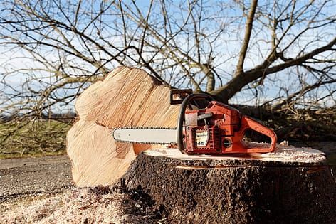 a chainsaw is sitting on top of a tree stump .