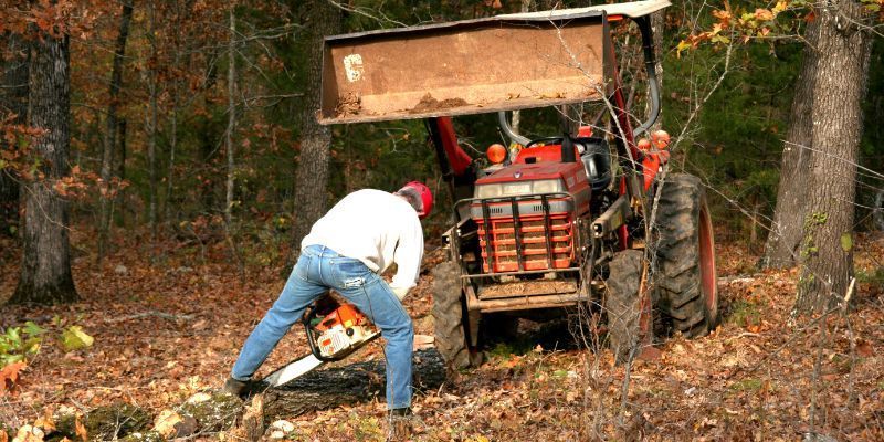 Stump Removal Service in Carmel Valley