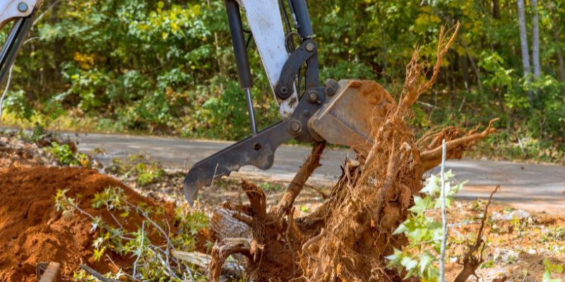 Stump Removal Service in Menifee