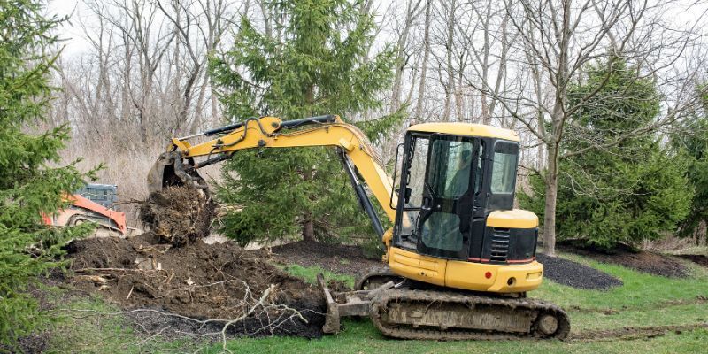 Tree Removal Services in La Costa