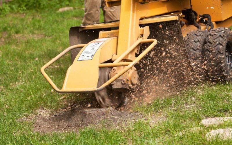 Stump Removal Service in Carlsbad