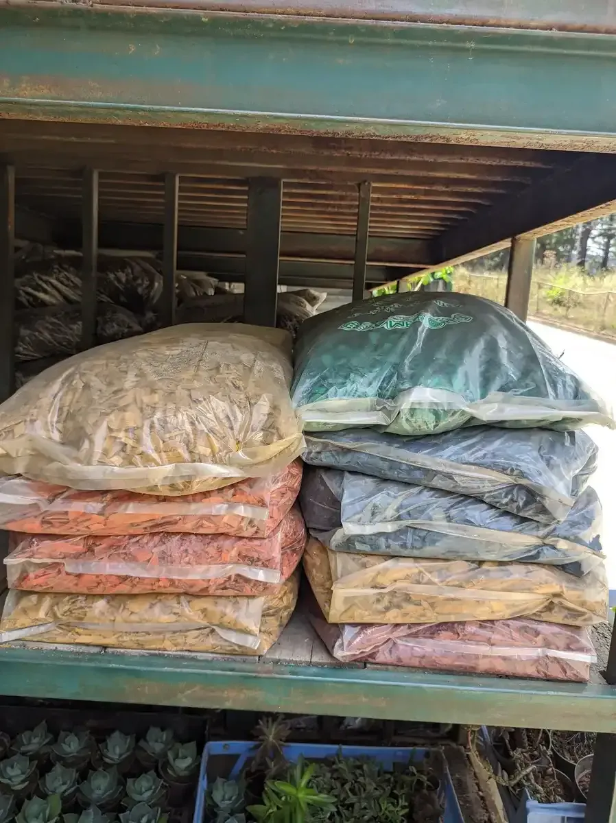 Un estante lleno de bolsas de rocas y plantas.